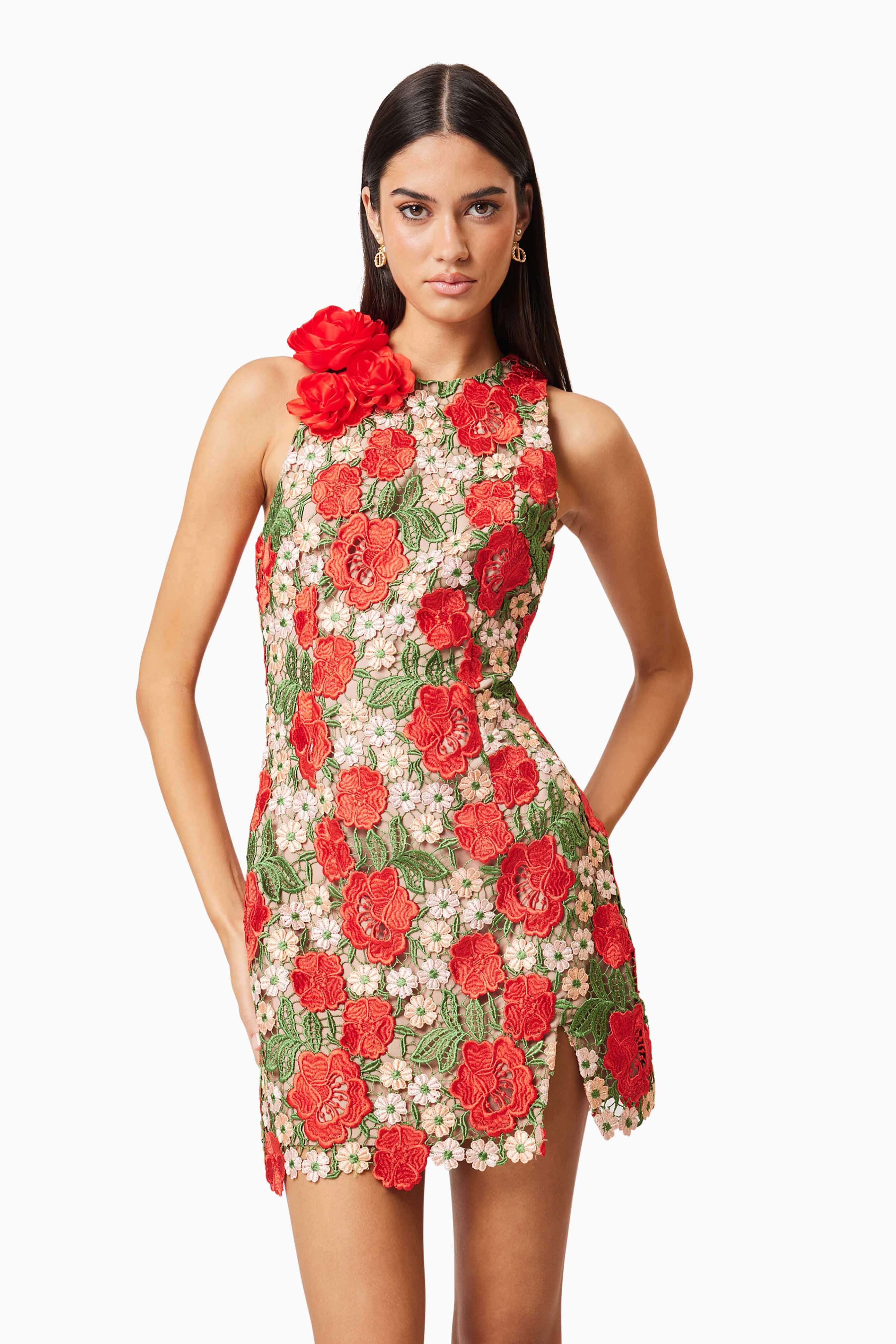 Roselyn Embroidered Mini Dress In Red - Image 6